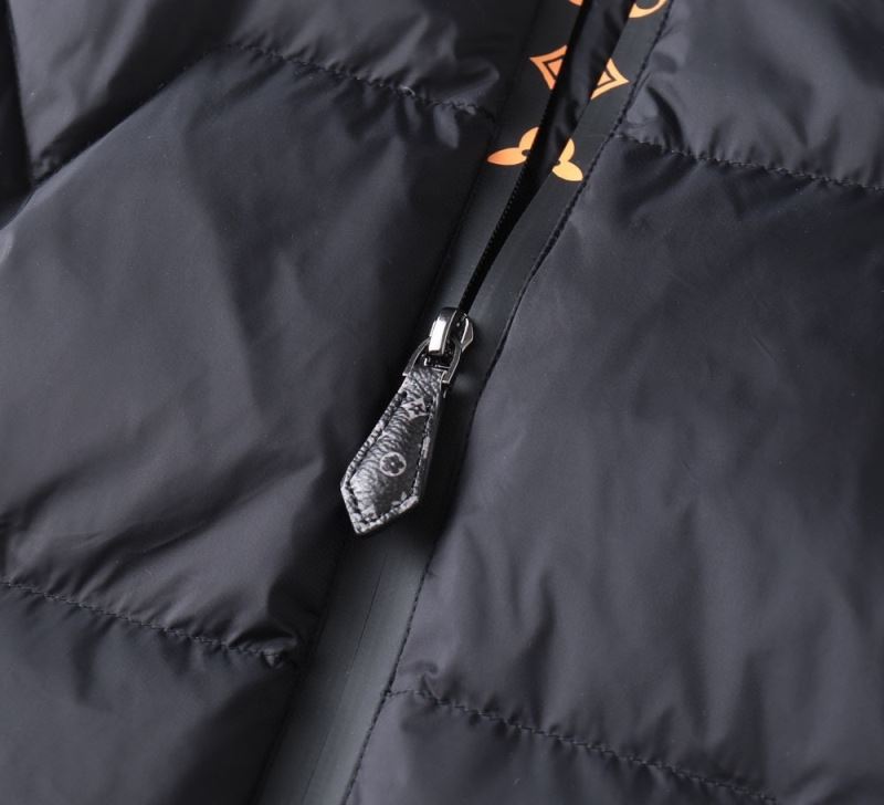 Louis Vuitton Down Jackets